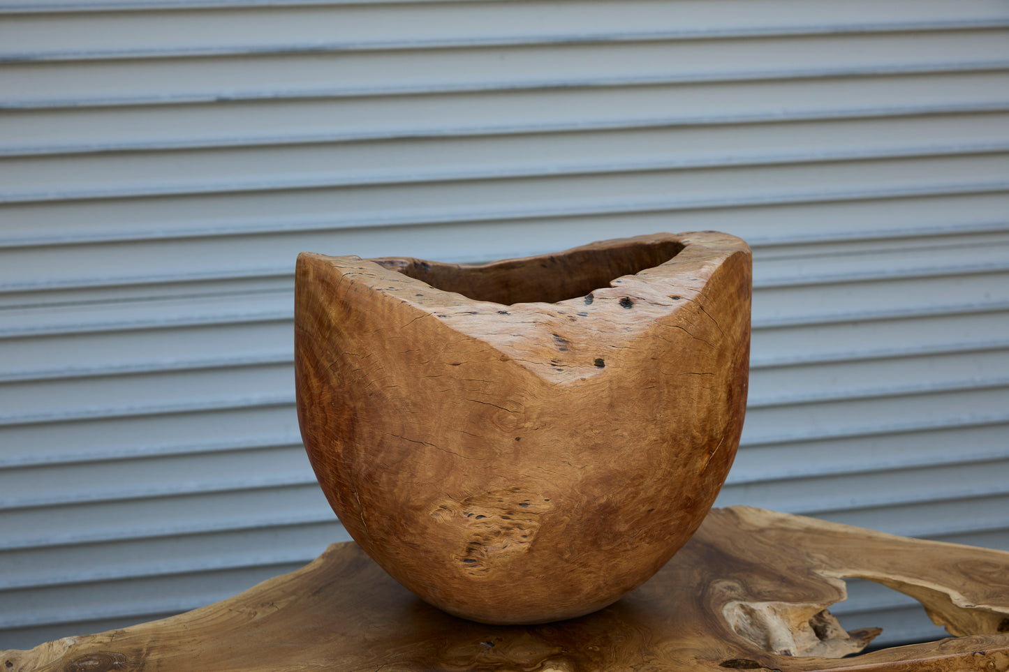 TEAKROOT PLANTER POT ORGANIC