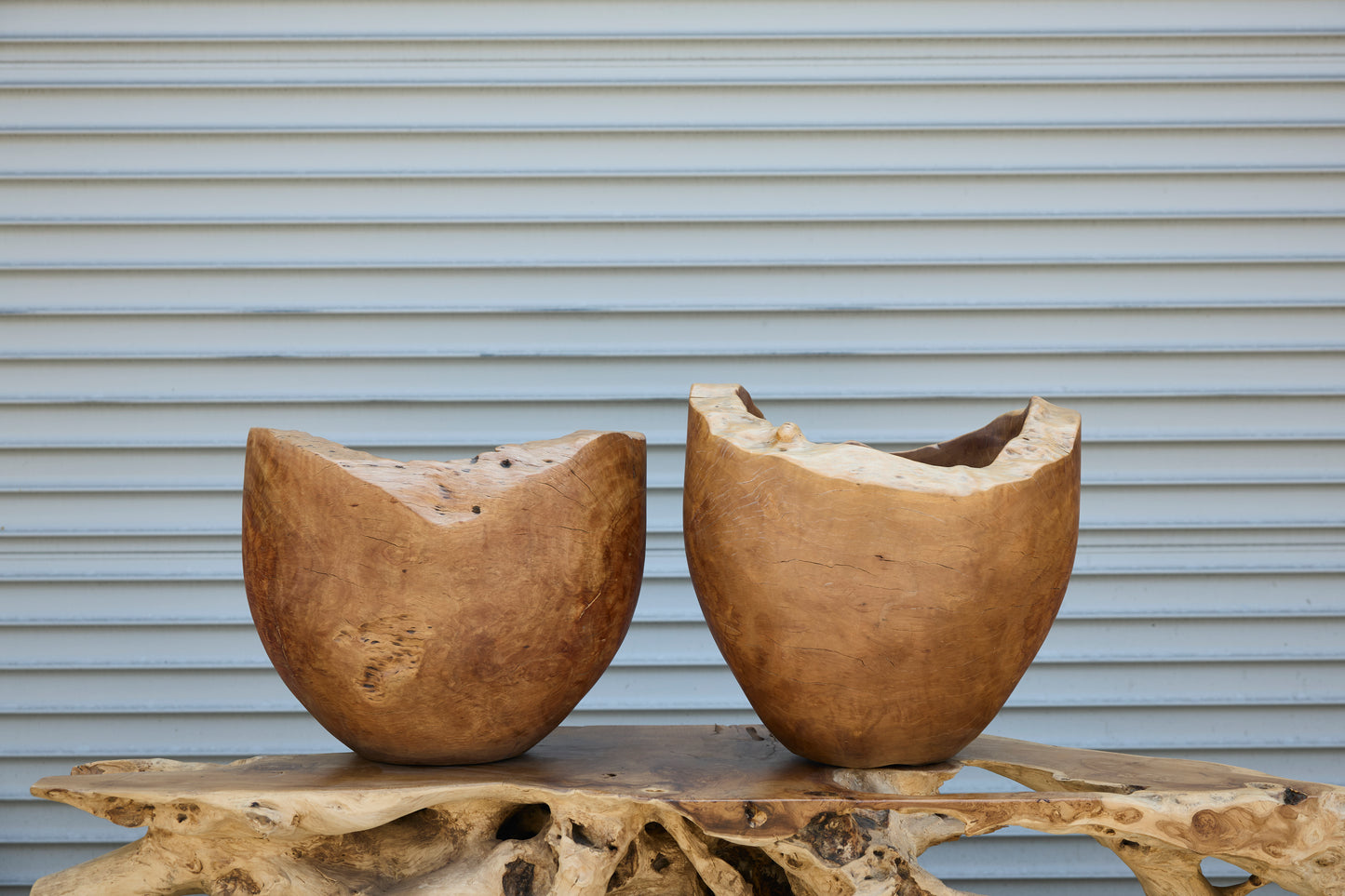 TEAKROOT PLANTER POT ORGANIC