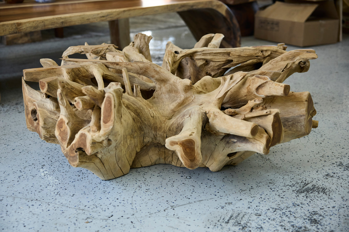 TEAK ROOT COFFEE TABLE WITHOUT GLASS