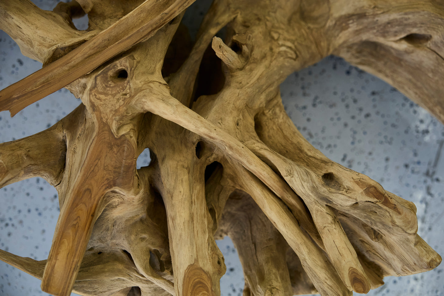 TEAK ROOT COFFEE TABLE WITHOUT GLASS