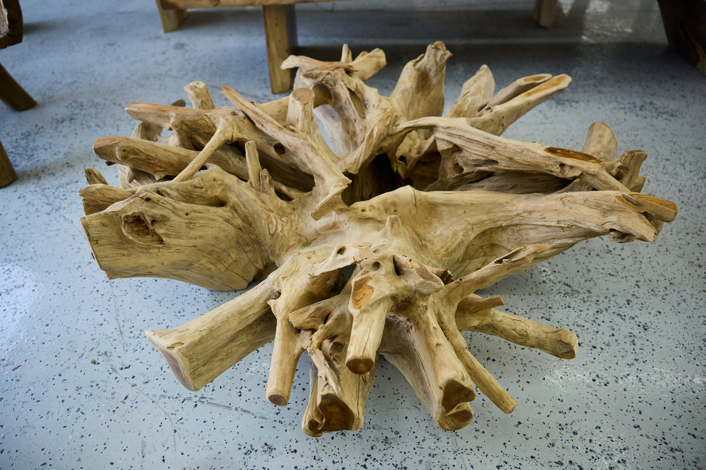 TEAK ROOT COFFEE TABLE WITHOUT GLASS