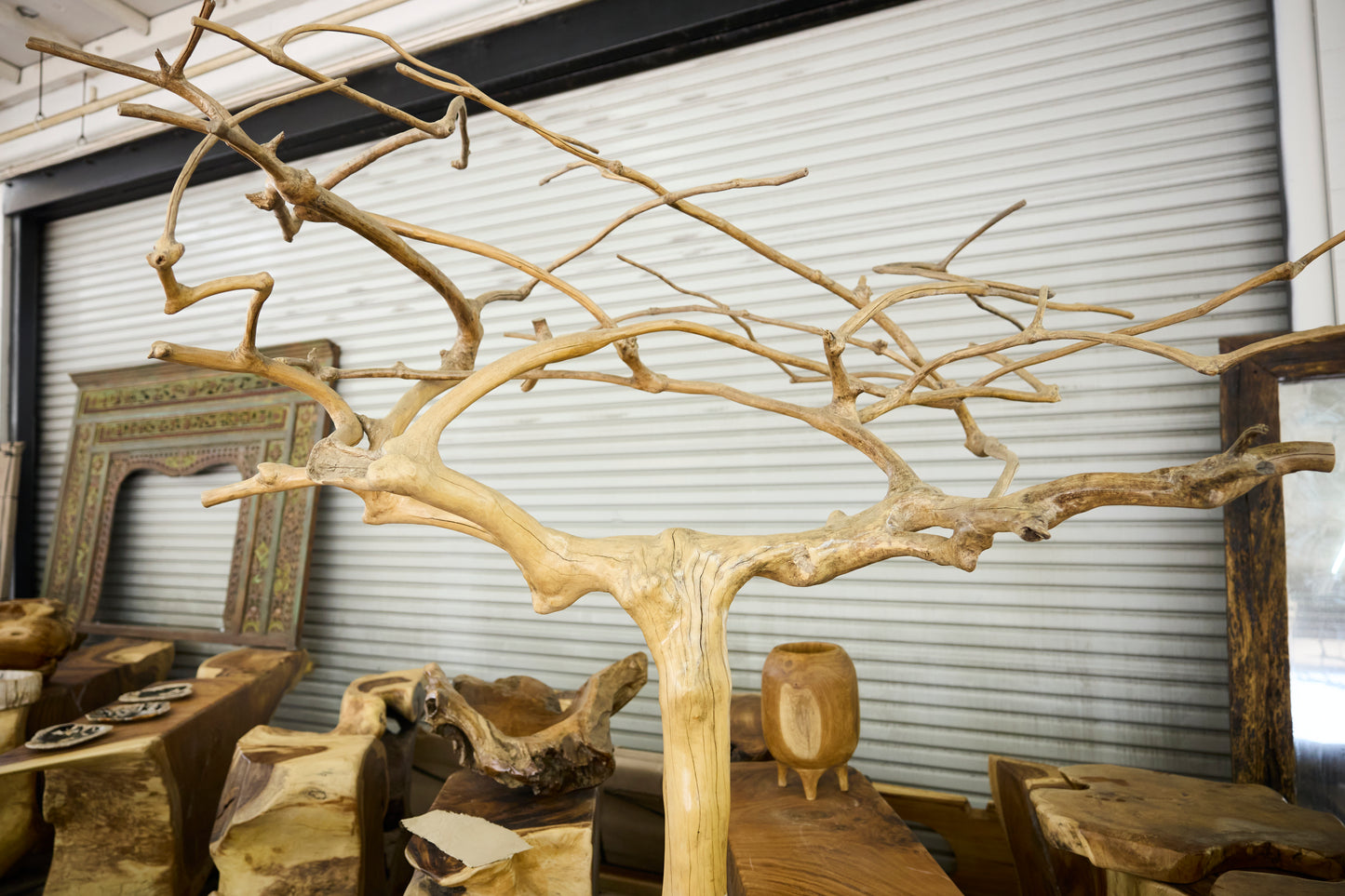 COFFEE TREE