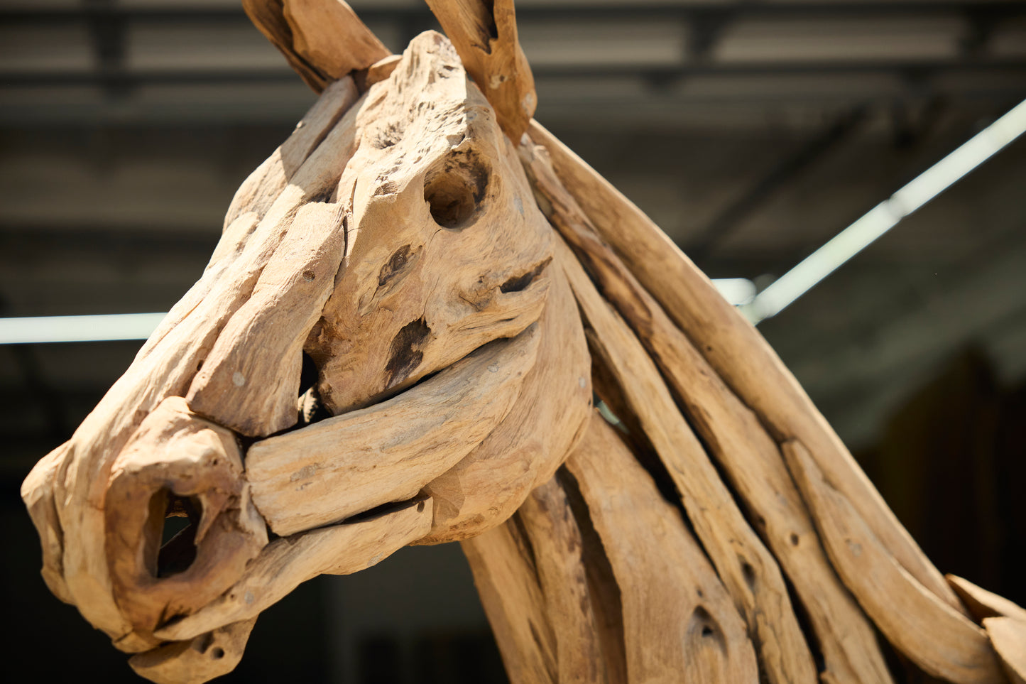 TEAK ROOT HORSE SCULPTURE