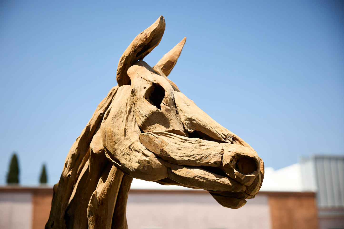 TEAK ROOT HORSE SCULPTURE