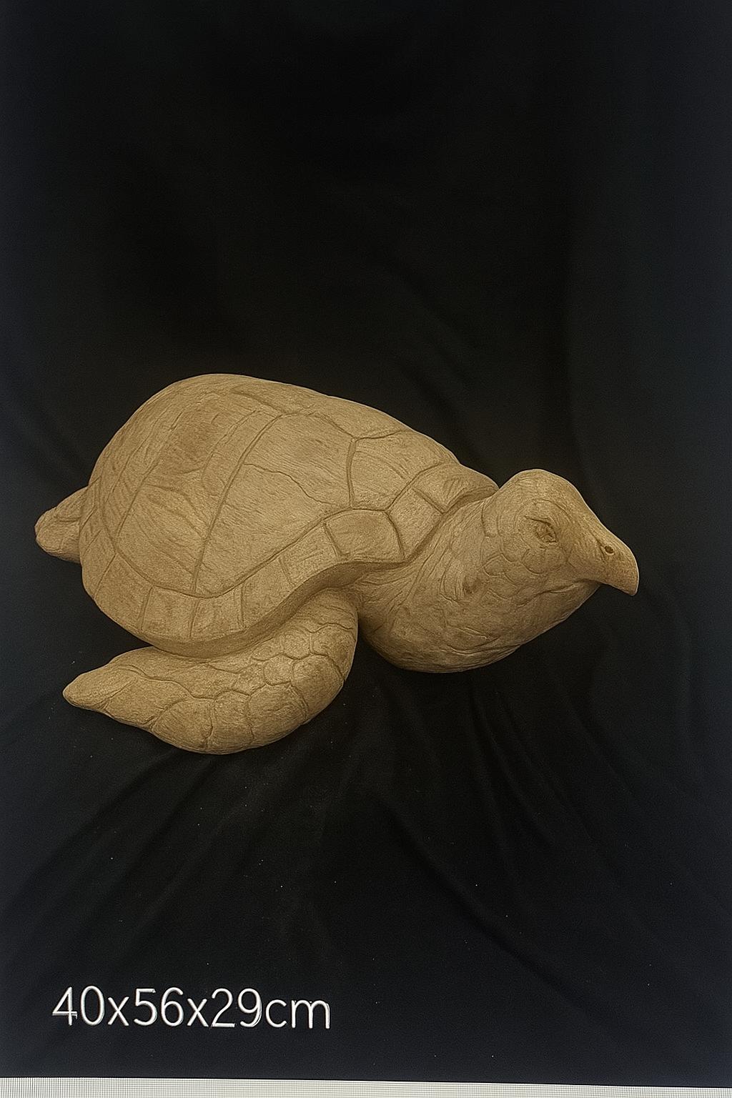 turtle teak root