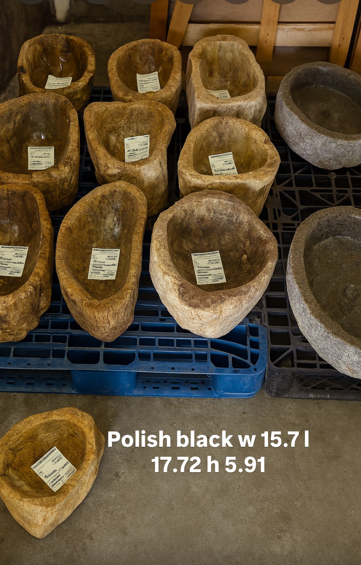 FOSIL BLACK