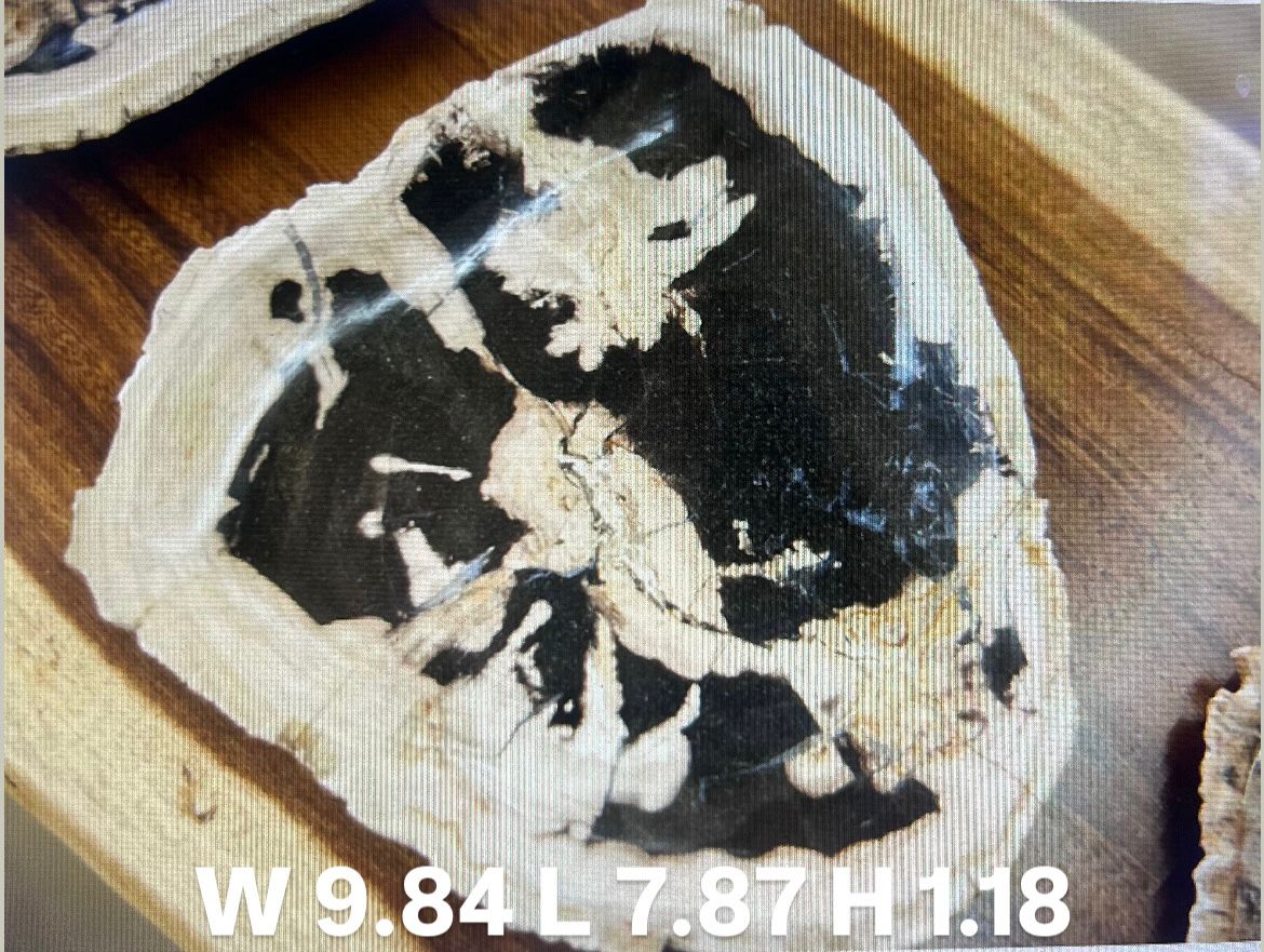 Plate S