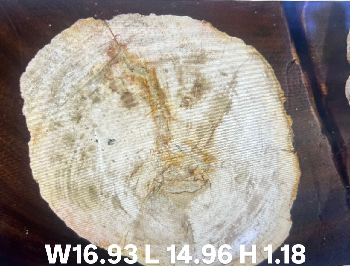 Plate L