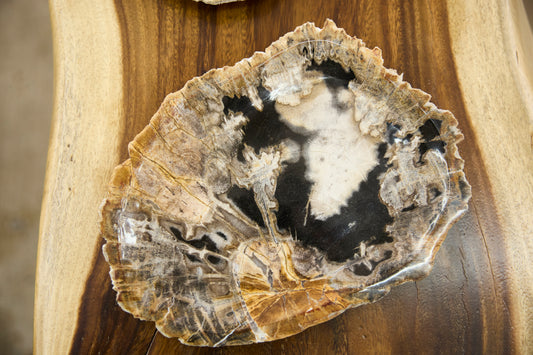 Plate S