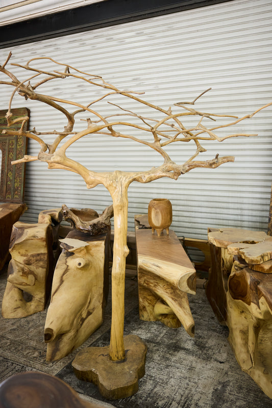 COFFEE TREE
