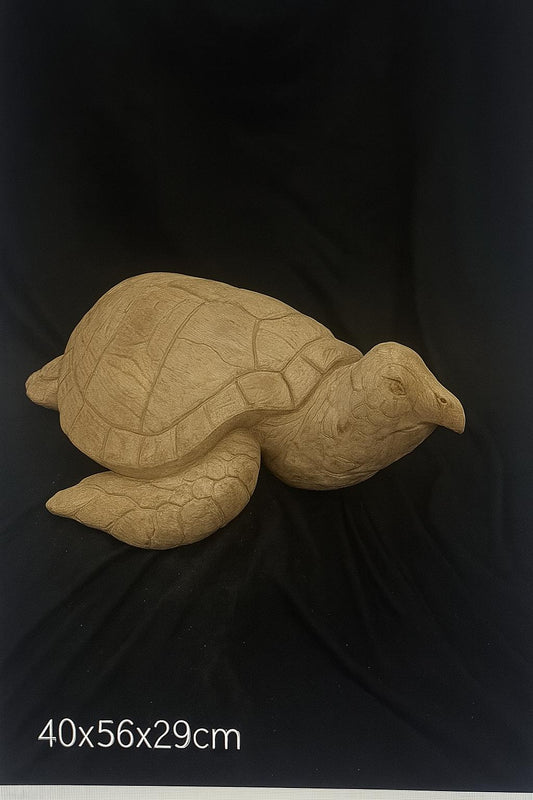 turtle teak root