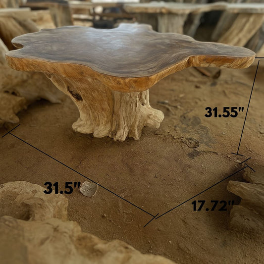 JAMUR TABLE