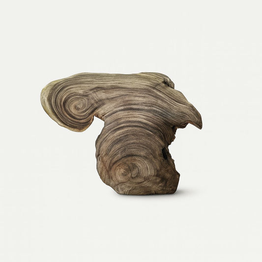 SUAR CONSOLE BURNING SIDE MIX ORGANIC