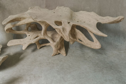 Konsole With Carved Teak Root