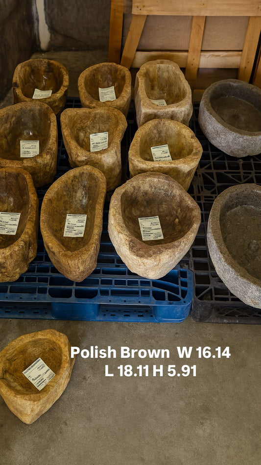 FOSIL Brown