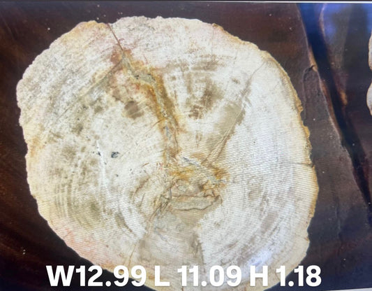 Plate M
